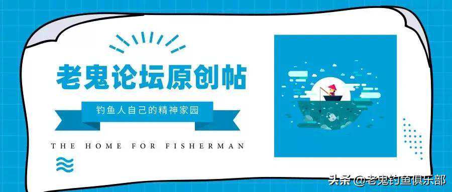 鲜蚯蚓·拉，爽钓大板鲫