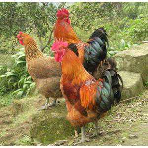 离谱！女子偷走男友准备的6.8万余元彩礼，警方发现她故意隐瞒……