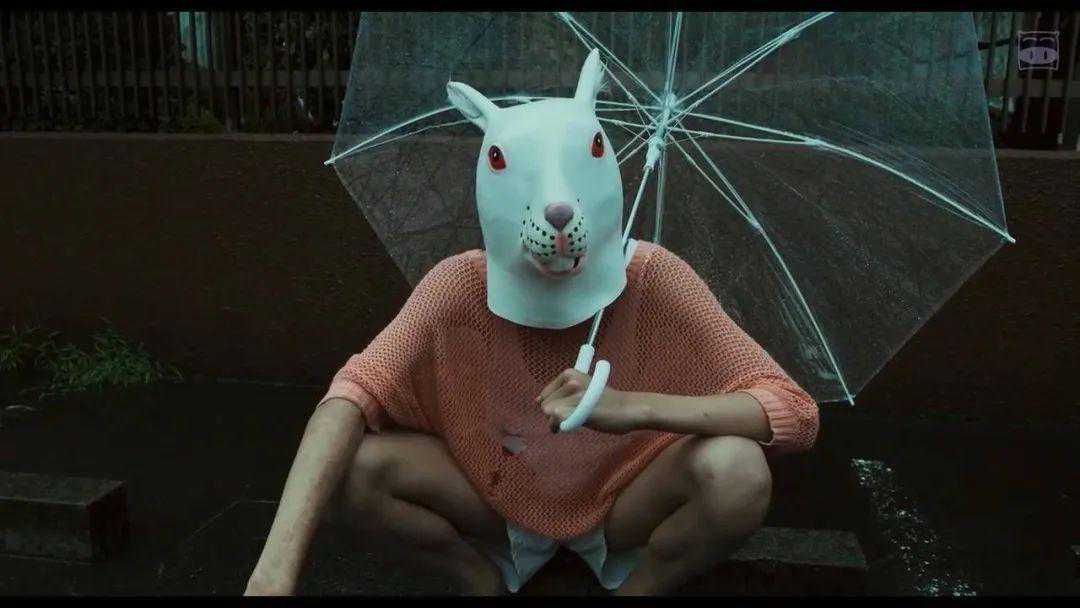 我和我的虚拟男友：网络本无缘，全靠我花钱