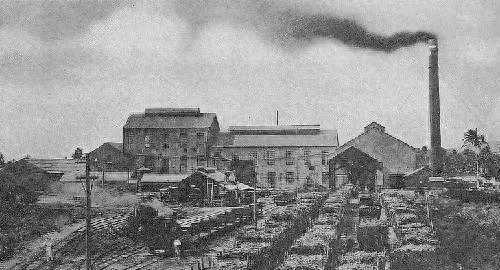 人类求生之旅：32名男子和1名女子在孤岛上的七年磨难