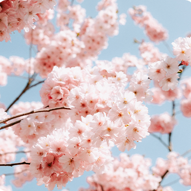 【节日我在岗】“我遇到了超级无敌大好的警察！”——白云公安历经60余小时成功帮助游客找回遗失手机