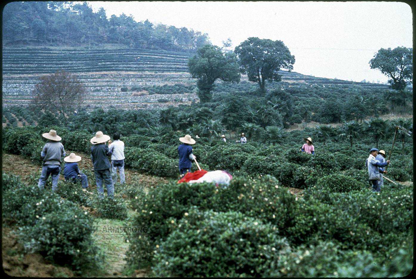 男女之间，有一种深爱，叫做“气死你”