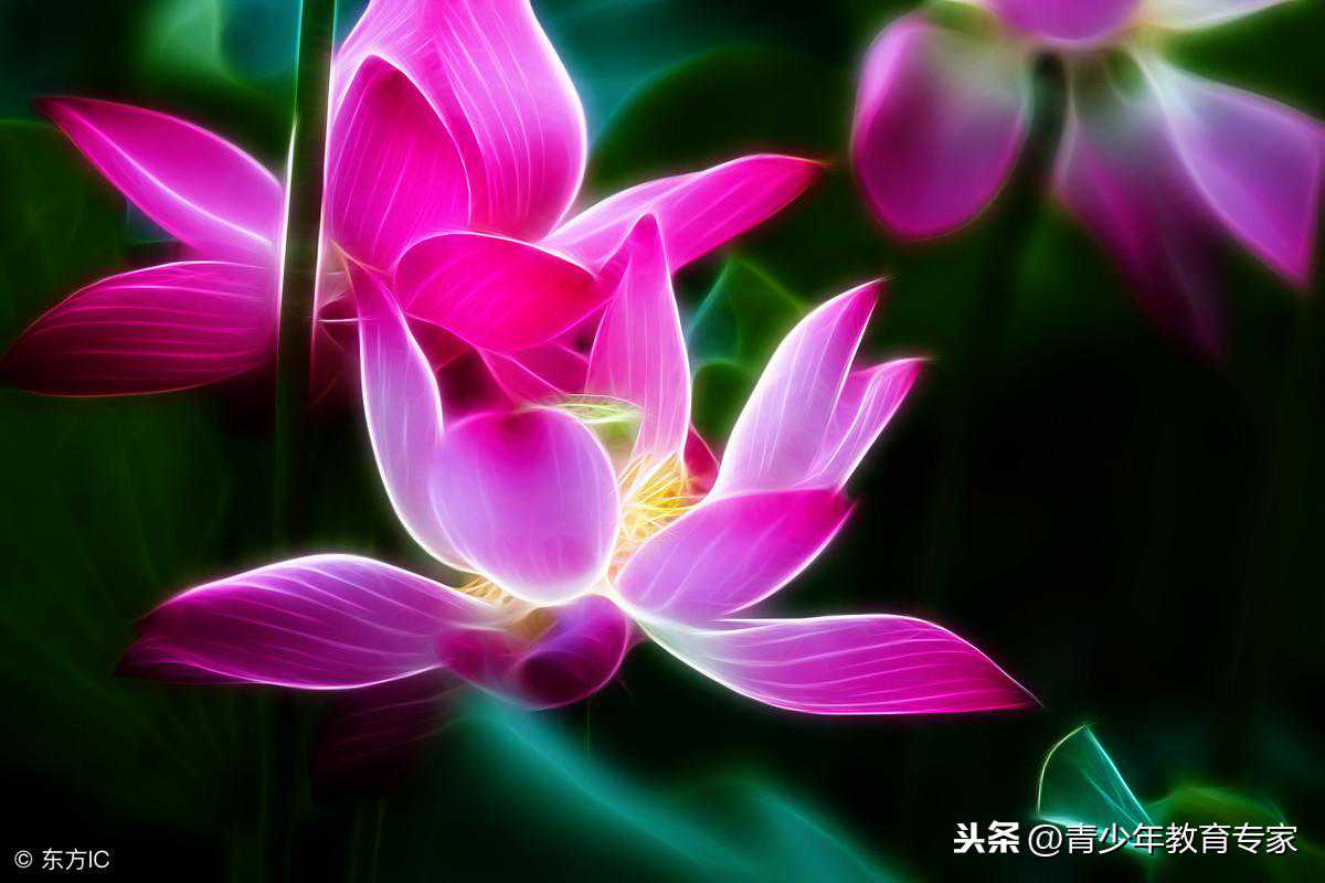 生活中遇到逆缘时，有一个秘诀，远离烦恼，一切如意！