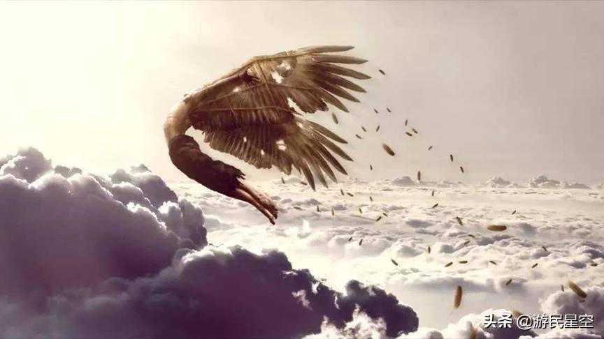 光暗的象征还是战斗神器？游戏中五花八门的“翅膀”