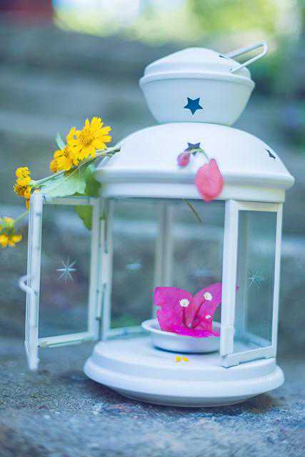 益智童话：月亮上的小公主与神秘花园