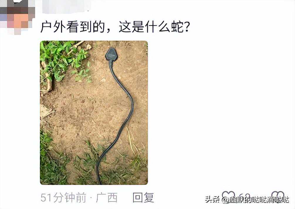 大爷和相差20岁的美女在公园做这种事情，网友看完不淡定了