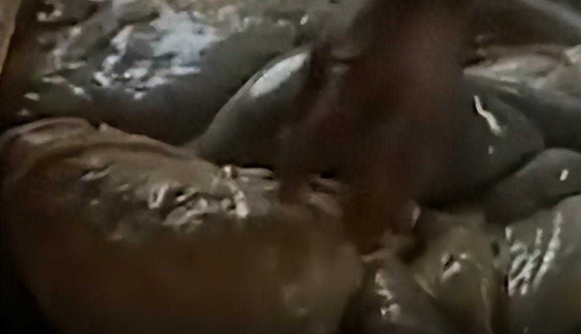 云南屠户集市买了头牛，宰杀时却发现一颗巨型怪球，能值100万？