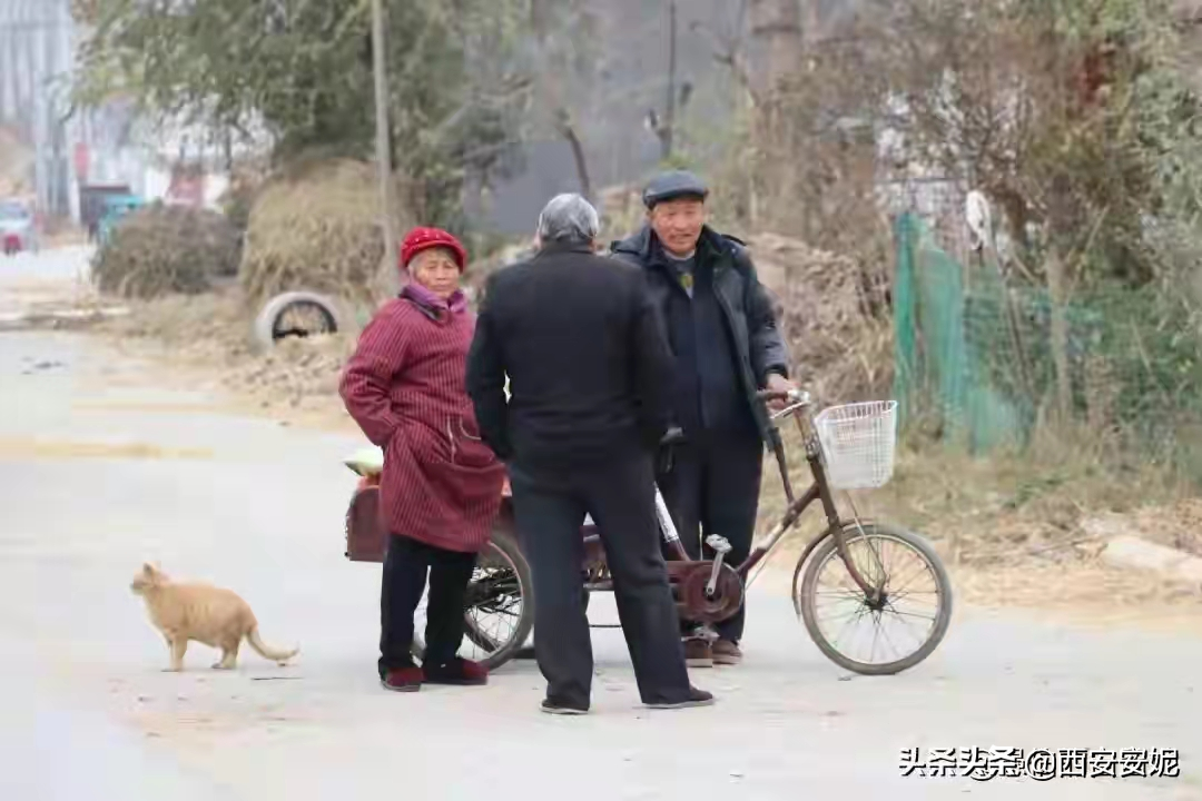 命运是嫌贫爱富的主，擅长捉弄穷苦的人