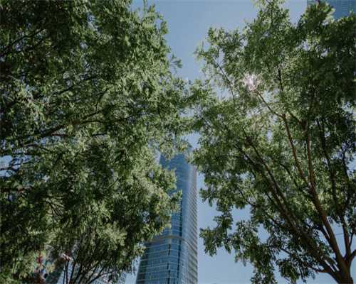 末日重生：丧尸帝国 六节