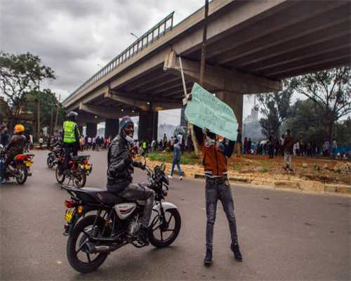 美国街头发生枪战！因两条名贵犬被抢，女子持枪追击疯狂扫射