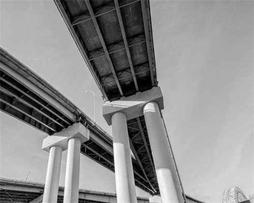 鸡妈妈和快乐的小鸡们的做法步骤