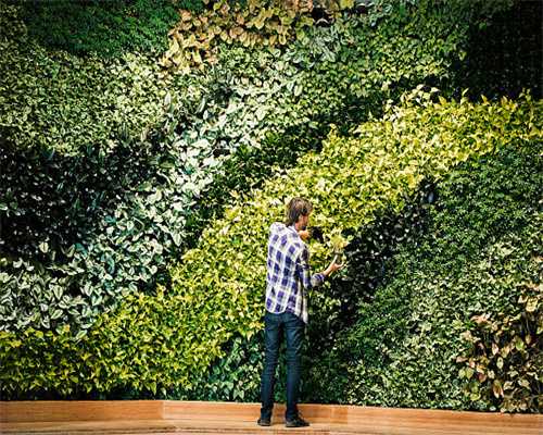 鼎龙文化股份有限公司 关于深圳证券交易所2019年第三季度报告问询函的回复公告