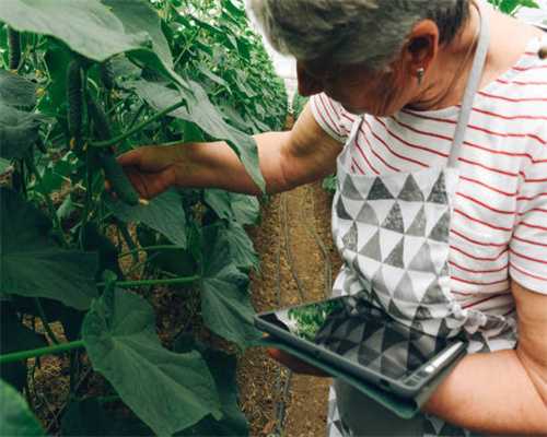 1．走进草原 一辆大客车和两辆解放大卡车把边陲小镇...