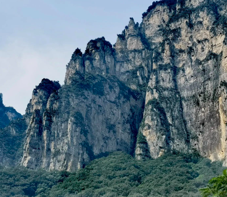 橘子上有个“小机关”，甜不甜一眼认出，爱吃水果的学学很实用