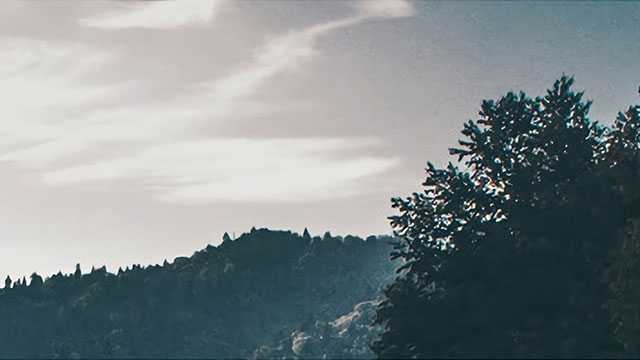 一只野兔引发的血案（一）