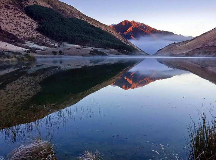 小凤的精致生活：红姐背后给阿姨使绊子，殊不知，知阿姨者小凤也