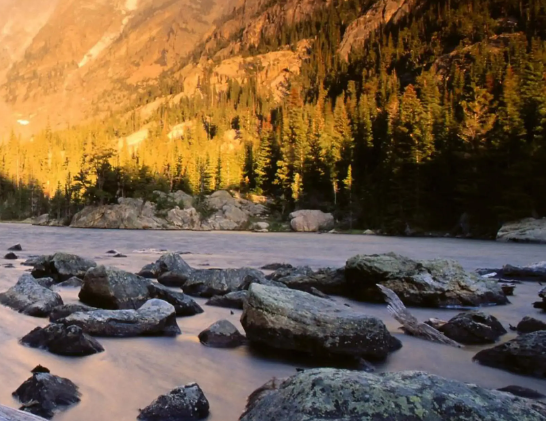 史上最硬核宅男！开坦克打恐怖分子，退役后做出爆款游戏年赚24亿
